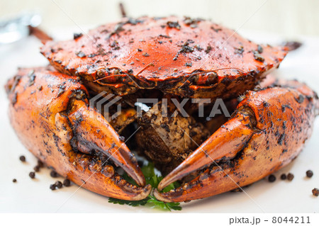 Black Pepper Crab 8044211