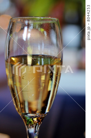 ジンジャーエール 8044253