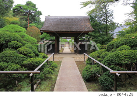 野火止の平林寺　中門 8044529