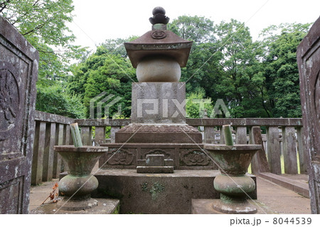 野火止の平林寺 参道 野火止の平林寺 参道 8044539