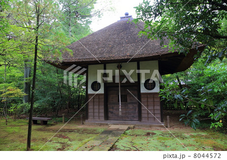 野火止の平林寺 戴渓堂 野火止の平林寺 戴渓堂 8044572