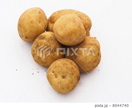 ジャガイモ ジャガイモ 8044740