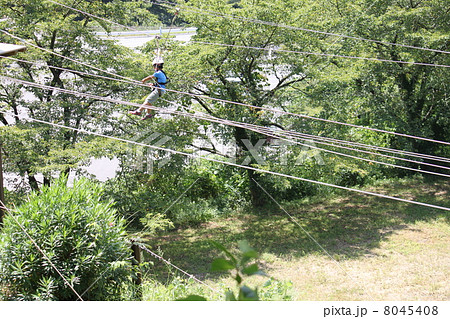 空中アスレチックに挑戦! 空中アスレチックに挑戦! 8045408