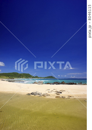 手広海岸 8046115