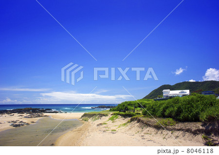 手広海岸 8046118