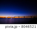 東京ゲートブリッジ 8046521