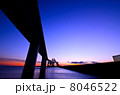 東京ゲートブリッジ 8046522