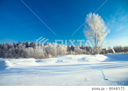 winter rural landscape winter rural landscape 8046575
