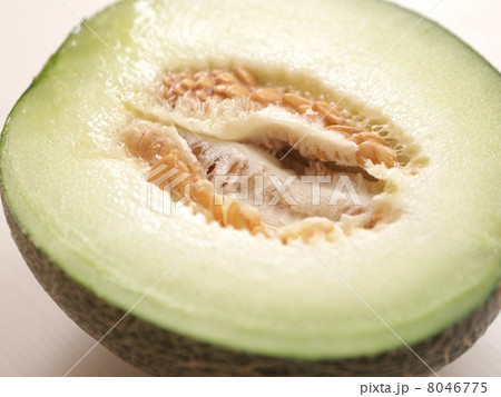 メロン 8046775