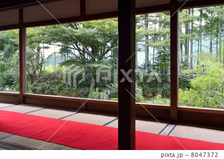 京都　宝泉院 8047372