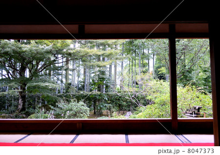 京都　宝泉院 8047373