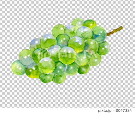 Autumn taste grapes 8047384