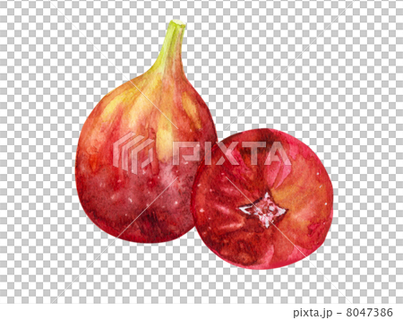 Autumn taste flaked fruits 8047386