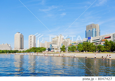 青空が広がるお台場海浜公園と海面に映える景観 8047427