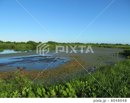 サロベツ原野　長沼 8048048
