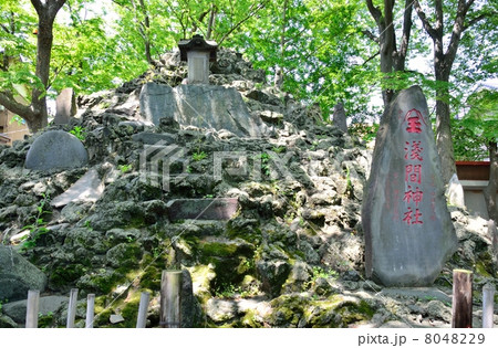 浦安市堀江の清瀧神社にある富士塚（千葉県浦安市） 8048229