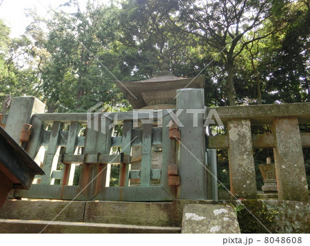 久能山東照宮(徳川家康 神廟) 久能山東照宮(徳川家康 神廟) 8048608