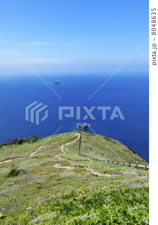 高茂岬 8048635