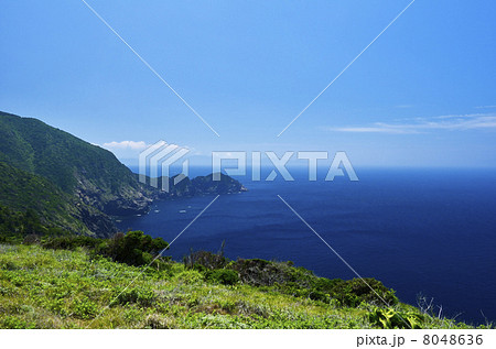 高茂岬 8048636