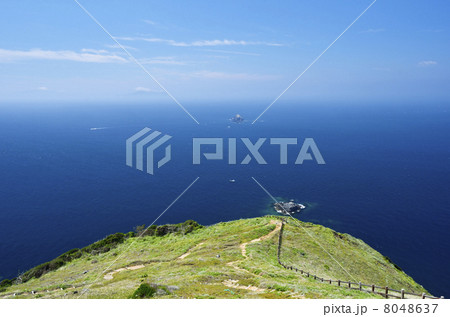 高茂岬 8048637