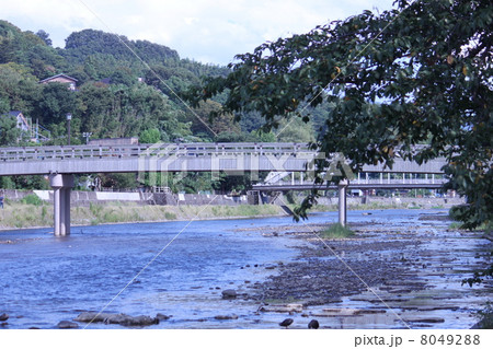 梅の橋 8049288