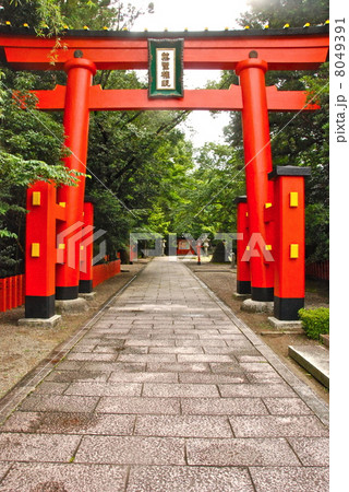 熊野速玉大社の参道・鳥居(和歌山県新宮市新宮) 熊野速玉大社の参道・鳥居(和歌山県新宮市新宮) 8049391