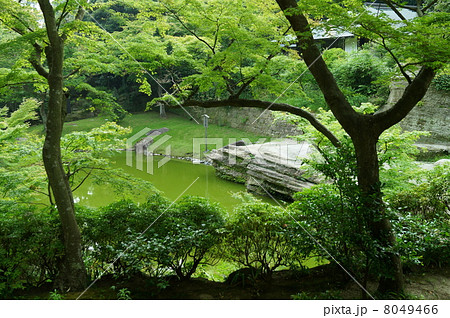 北鎌倉　円覚寺　妙香池　（ 神奈川県 鎌倉市 山ノ内 ） 8049466
