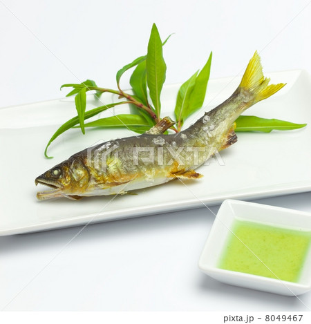 鮎の塩焼き 8049467