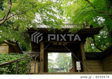 北鎌倉　円覚寺　総門　（ 神奈川県 鎌倉市 山ノ内 ） 8049479