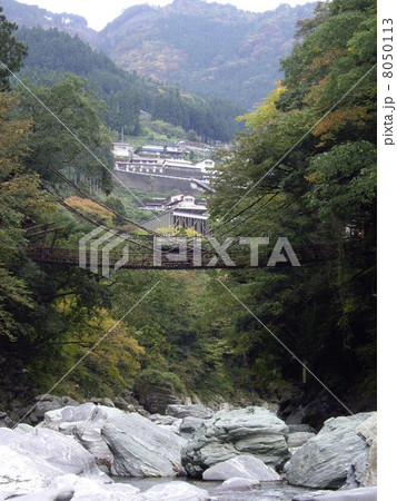 祖谷の蔓橋 祖谷の蔓橋 8050113