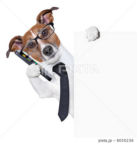 dog smartphone dog smartphone 8050236