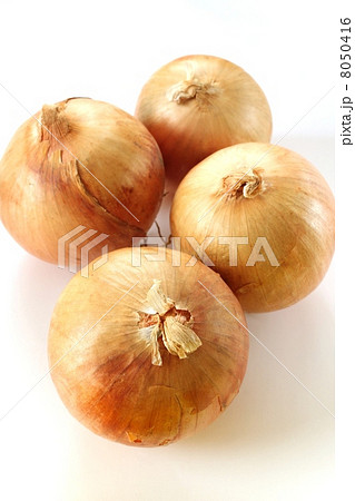 玉ねぎ・２ 8050416