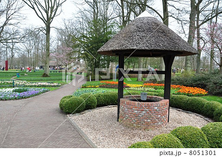 キューケンホフ公園　オランダ 8051301