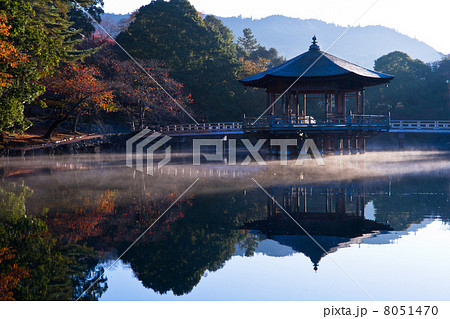 紅葉の浮見堂 8051470