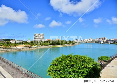 奥武山公園 8052758