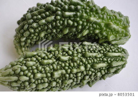 夏野菜　ゴウヤ 8053501