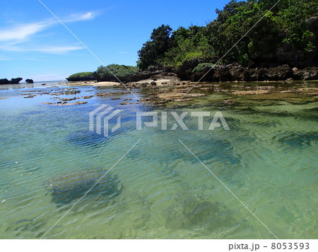 西表島　星砂の浜 8053593