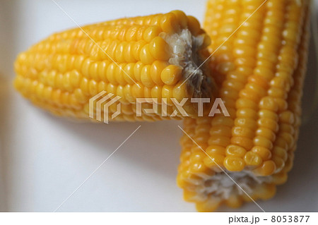 プチプチジューシーな北海道産の茹でたトウモロコシ 8053877