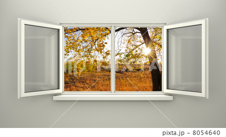 Window to autumn 8054640