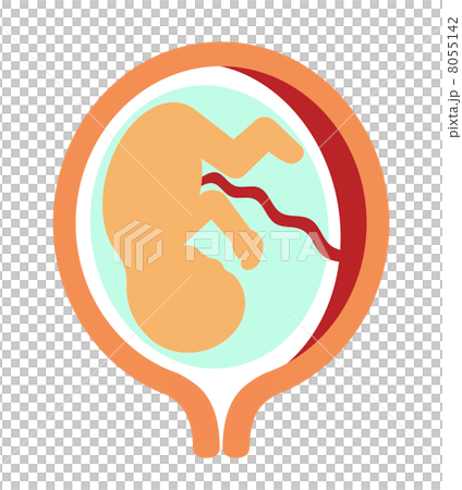 胎兒 胎兒 8055142