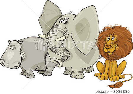 african animals 8055859