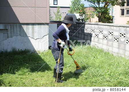家庭用電動草刈機で庭の草刈りをする中年女性 8058144