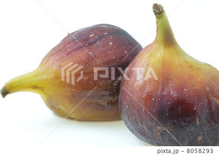 イチジク 8058293