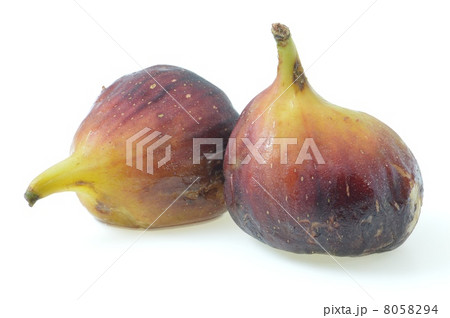 イチジク 8058294