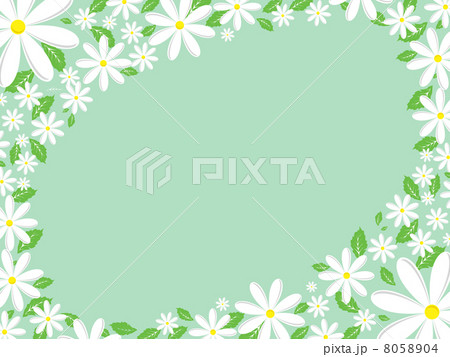 Daisy border 8058904