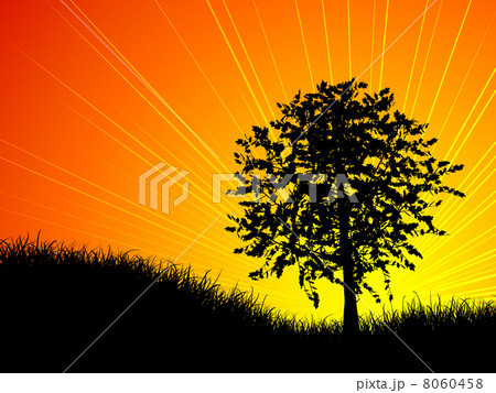 Tree at sunset 8060458