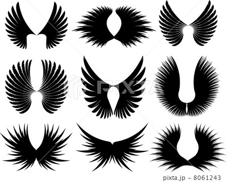 Wings 8061243
