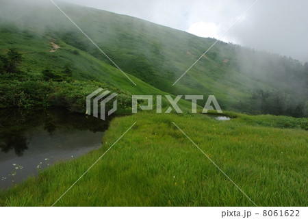 巻機山・池塘 8061622