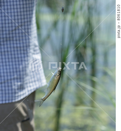 Fish on the hook 8061810