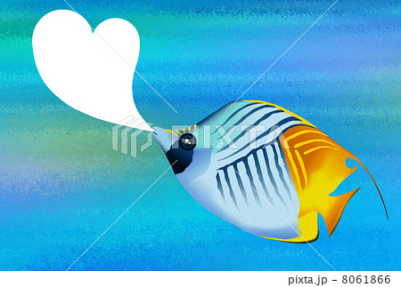 トゲチョウチョウウオ 8061866